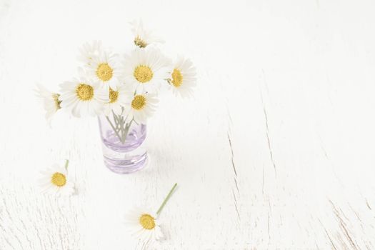 beautiful daisy flowers in a vase on a wooden table with copy space