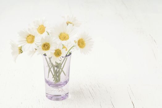 beautiful daisy flowers in a vase on a wooden table with copy space