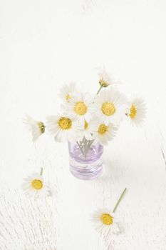 beautiful daisy flowers in a vase on a wooden table with copy space