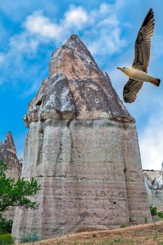 Volcanic rock formations in Cappadocia, Anatolia, Turkey. Open air museum, Goreme national park. Travel background