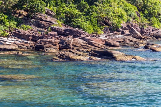 jungle island sea landscape with palm trees