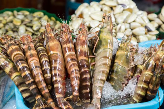 shrimp fresh cool on ice at street market