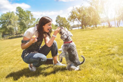 Caucasian woman trains and feeds her beloved dog in the park.