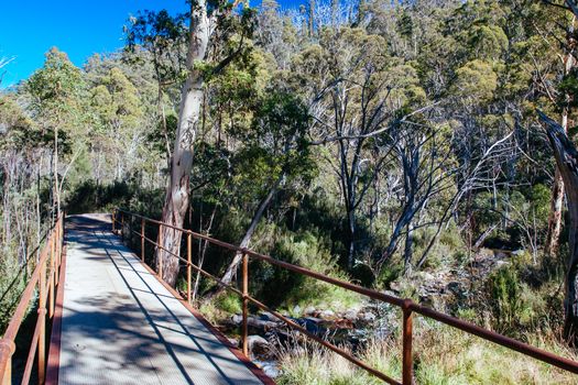 The popular Thredo Valley Track which is a walk and bike track that runs from Thredbo to Jindabyne thru Lake Crackenback in New South Wales, Australia