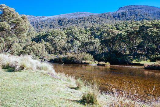 The popular Thredo Valley Track which is a walk and bike track that runs from Thredbo to Jindabyne thru Lake Crackenback in New South Wales, Australia