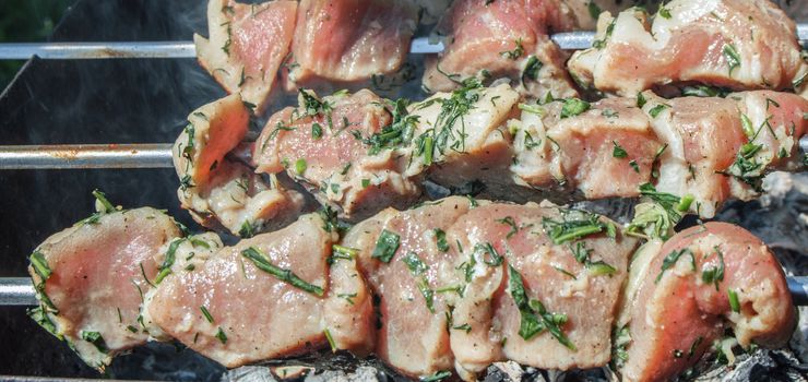 Closeup of marinated meat roasted on a metal skewer in the open, on a summer day, the smoke from the coals, the concept of a picnic.