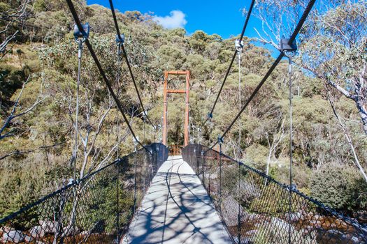 The popular Thredo Valley Track which is a walk and bike track that runs from Thredbo to Jindabyne thru Lake Crackenback in New South Wales, Australia