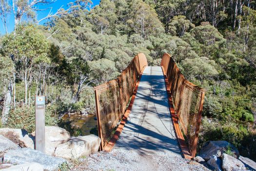 The popular Thredo Valley Track which is a walk and bike track that runs from Thredbo to Jindabyne thru Lake Crackenback in New South Wales, Australia