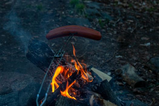 Making and cooking Hot dog sausages over open camp fire. Grilling food over flames of bonfire on wooden branch - stick spears in nature at night. Scouts way of preparing food