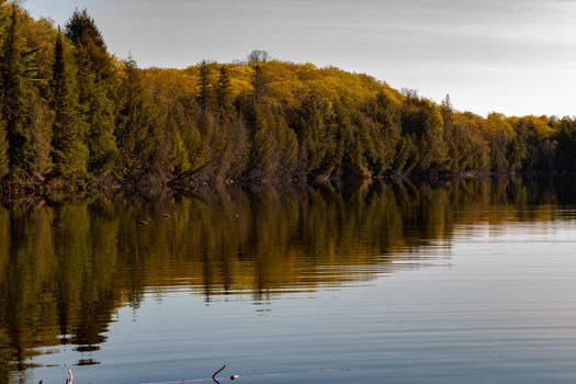 Spring photographs of Gilmour Ontario lake scence. This is in Limerick county, a popular tourist destination in Northern Ontario.