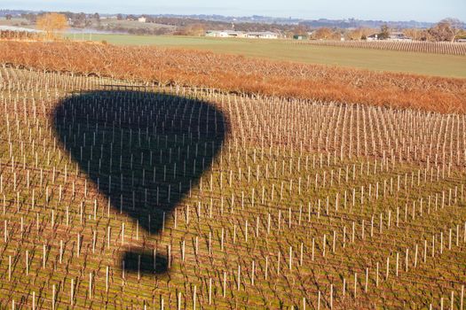 A sunrise hot air balloon flight over the Yarra Valley in Victoria, Australia