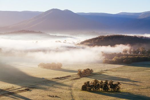 A view across a valley at sunrise in the Yarra Valley in Victoria, Australia