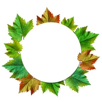 Happy Thanksgiving with text greeting and autumn leaves .Photo of  Grapes green leaves wreath with clipping path included.