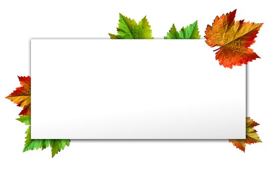 Happy Thanksgiving with text greeting and autumn leaves .Photo of  Grapes green leaves wreath with clipping path included.