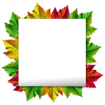 Happy Thanksgiving with text greeting and autumn leaves .Photo of Grapes green leaves wreath with clipping path included.