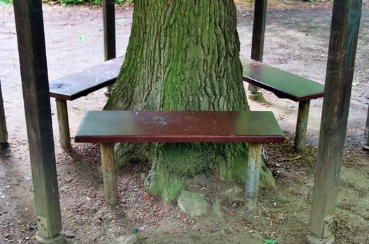 A public empty bench found in northern Europe.