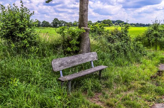 A public empty bench found in northern Europe.