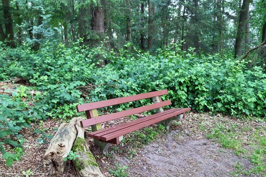 A public empty bench found in northern Europe.