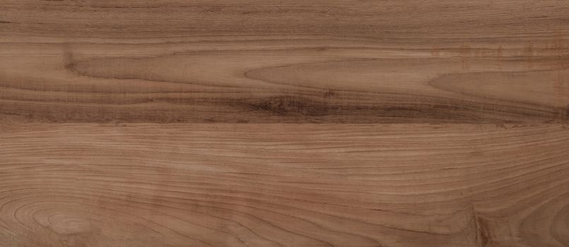 Wood background closeup with natural wood pattern