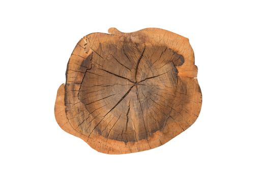 Stump Tree Ring isolated on white background, Clipping path