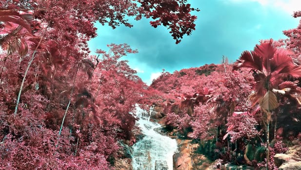 Beautiful purple and pink infrared panorama of a landscape on the Seychelles Islands.