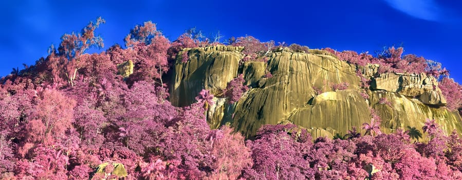 Beautiful purple and pink infrared panorama of a landscape on the Seychelles Islands.