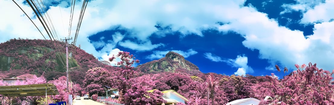 Beautiful purple and pink infrared panorama of a landscape on the Seychelles Islands.