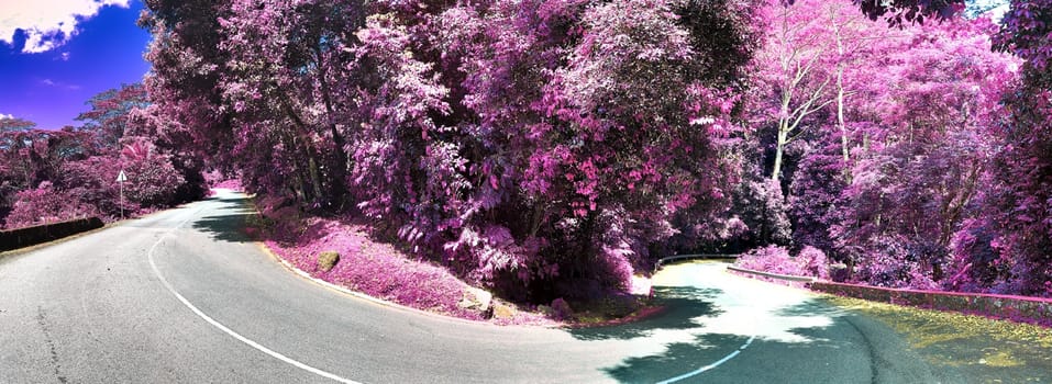 Beautiful purple and pink infrared panorama of a landscape on the Seychelles Islands.