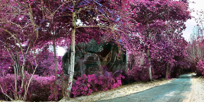 Beautiful purple and pink infrared panorama of a landscape on the Seychelles Islands.