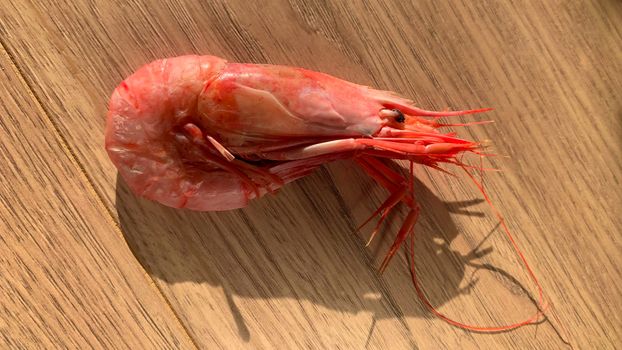 Big fresh pink king jumbo tiger cooked prawn shrimp tasty seafood top flat view on wooden background