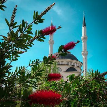 New beautiful white mosque in Turkey with red flowers on a sunny day, blue sky background, Ramazan Bayram, Ramadan, Kurban, Kandil