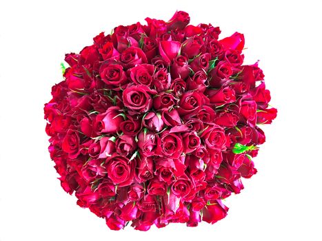 Plenty red natural roses on white background. Horizontal stock image of 101 roses bouquet. 