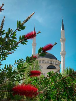 New beautiful white mosque in Turkey with red flowers on a sunny day, blue sky background, Ramazan Bayram, Ramadan, Kurban, Kandil