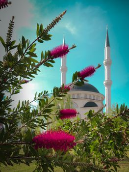 New beautiful white mosque in Turkey with red flowers on a sunny day, blue sky background, Ramazan Bayram, Ramadan, Kurban, Kandil