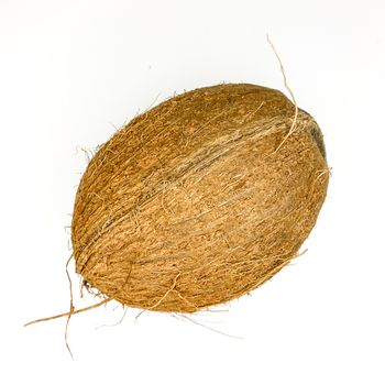 Tropical hole hairy coconut on a white background