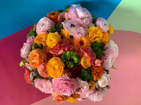 Flat view bright colorful pink yellow orange persian asian buttercup ranunculus asiaticus fresh flowers in round box