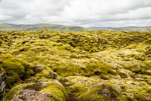 Icelandic fields of lava covered with moss panorama, South Iceland
