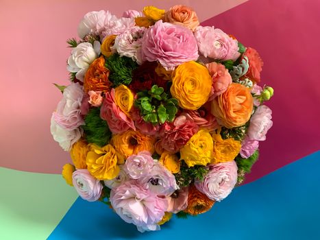 Flat view bright colorful pink yellow orange persian asian buttercup ranunculus asiaticus fresh flowers in round box
