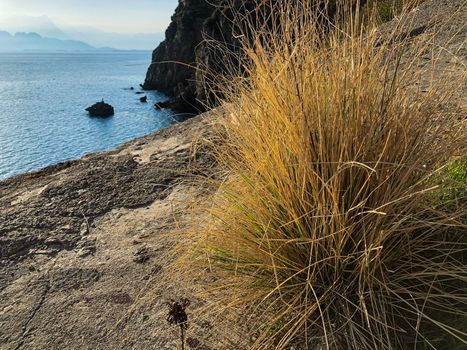 Dry grass bush Mediterranean sea and mountains view