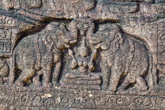 stone elephants Polonnaruwa Archaeological Ruins city temple - medieval capital of Ceylon, UNESCO, Sri Lanka