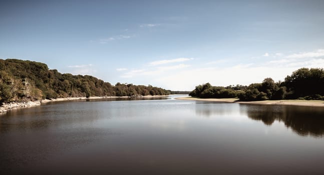 view of the Jaunay lake in Vendee France a summer day