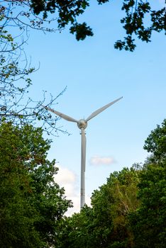 A single wind generator with three blades against a blue sky, photographed through bushes and trees.