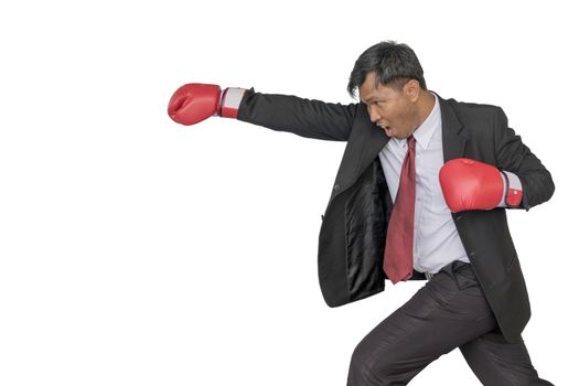 Asian businessman wearing boxing gloves to punch by white background.Business Boxing concept.
