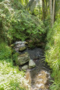 River bed in Pakerisan valley with wild water and big boulders. Water rolling over rocks in a river bed at a funeral complex in Tampaksiring. Gunung Kawi, Bali, Indonesia. Tropical vegetation.