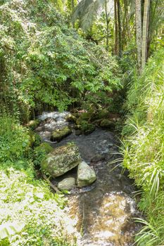 River bed in Pakerisan valley with wild water and big boulders. Water rolling over rocks in a river bed at a funeral complex in Tampaksiring. Gunung Kawi, Bali, Indonesia. Tropical vegetation.