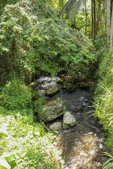 River bed in Pakerisan valley with wild water and big boulders. Water rolling over rocks in a river bed at a funeral complex in Tampaksiring. Gunung Kawi, Bali, Indonesia. Tropical vegetation.