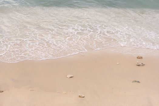 Soft wave on to the beach