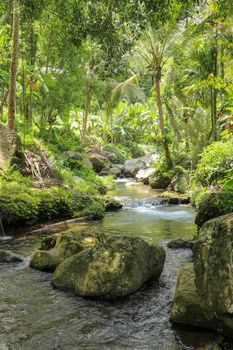 River bed in Pakerisan valley with wild water and big boulders. Water rolling over rocks in a river bed at a funeral complex in Tampaksiring. Gunung Kawi, Bali, Indonesia. Tropical vegetation.