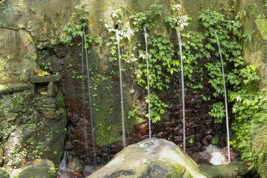 Sacred water springs in the Pakerisan Valley at the Tampaksiring Burial Complex. Gunung Kawi, Bali, Indonesia. Sacrifices to the Gods on the altar. Mecha and tropical vegetation grow on a rock wall.