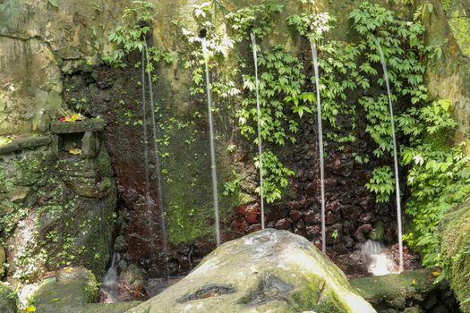 Sacred water springs in the Pakerisan Valley at the Tampaksiring Burial Complex. Gunung Kawi, Bali, Indonesia. Sacrifices to the Gods on the altar. Mecha and tropical vegetation grow on a rock wall.